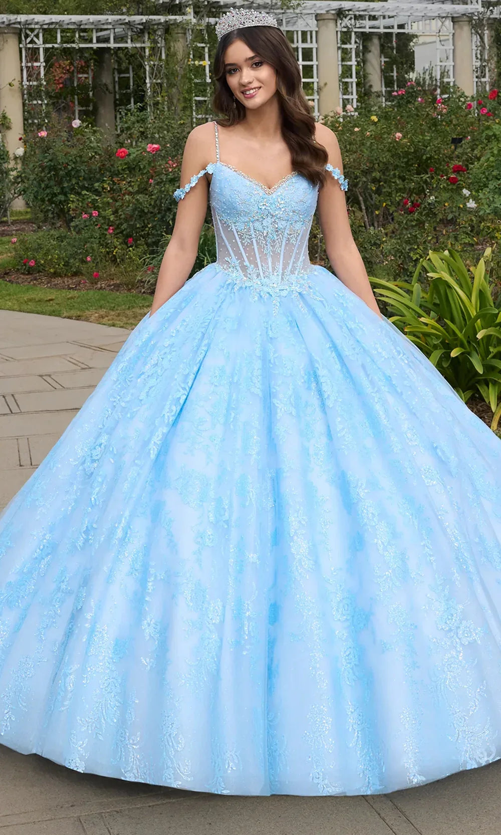 Ashley Lauren 30113 - V-Neck 3D Floral Applique Ballgown
