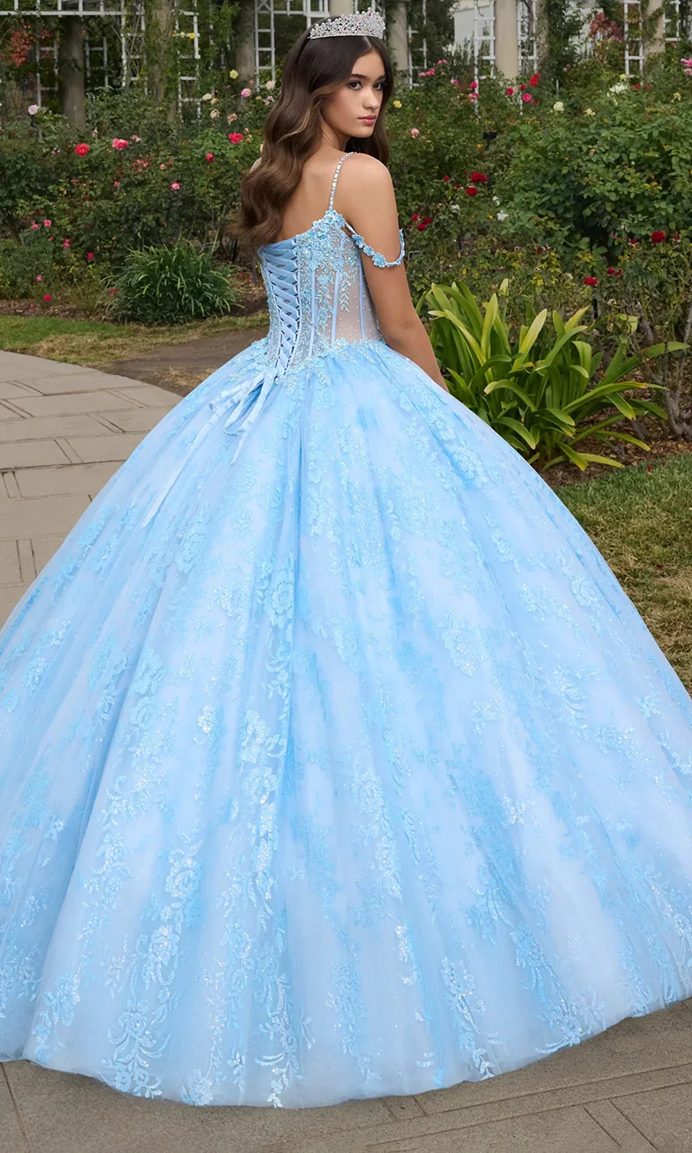 Ashley Lauren 30113 - V-Neck 3D Floral Applique Ballgown