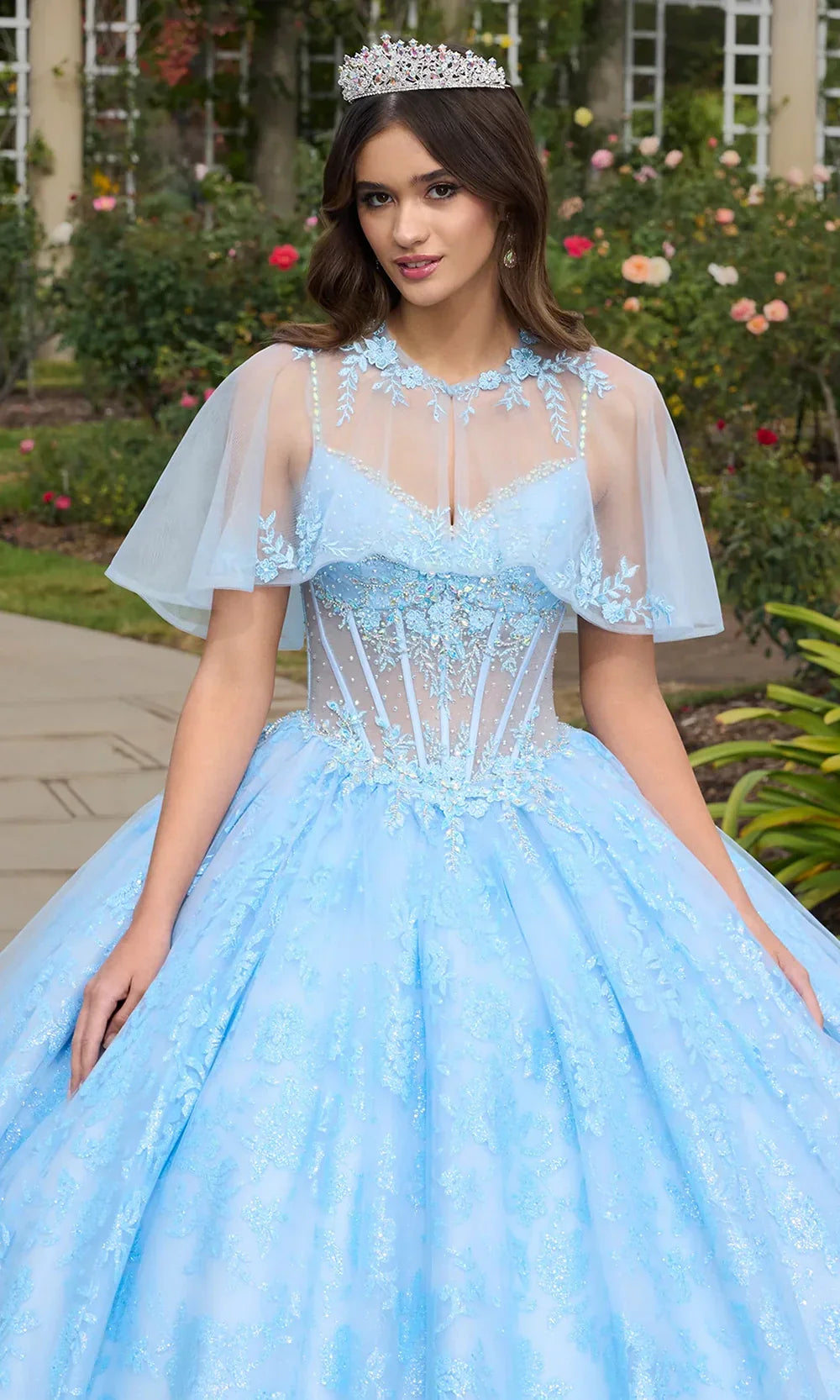 Ashley Lauren 30113 - V-Neck 3D Floral Applique Ballgown