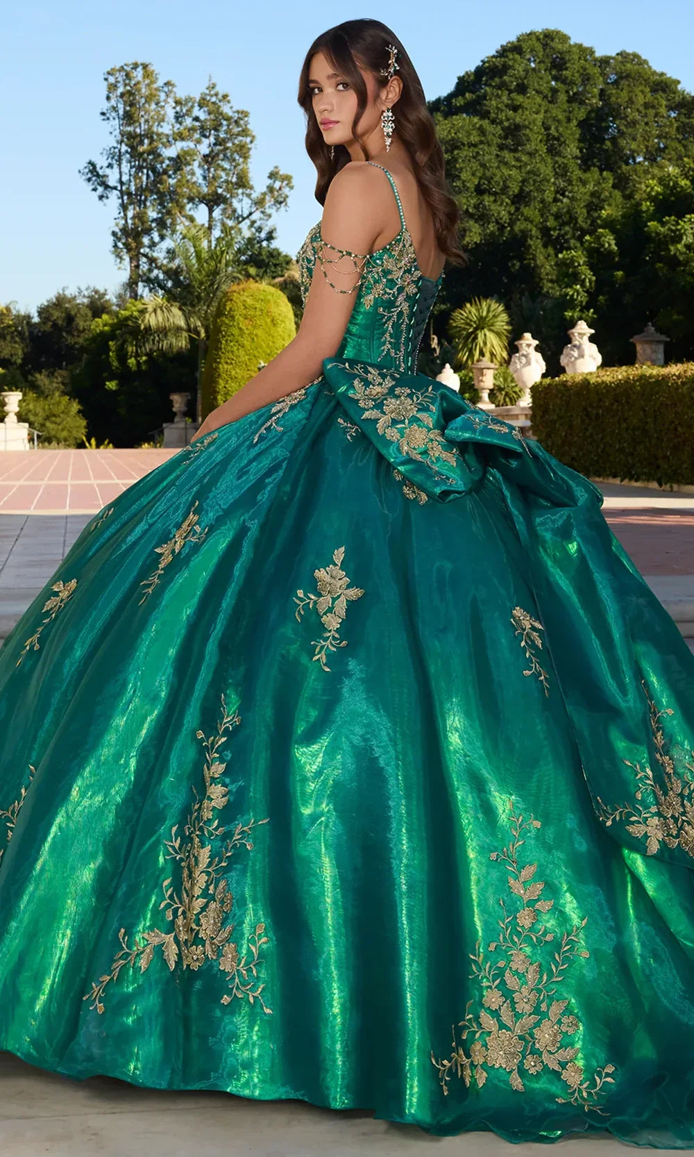 Ashley Lauren 30114 - Floral Lace V-Neckline Ballgown