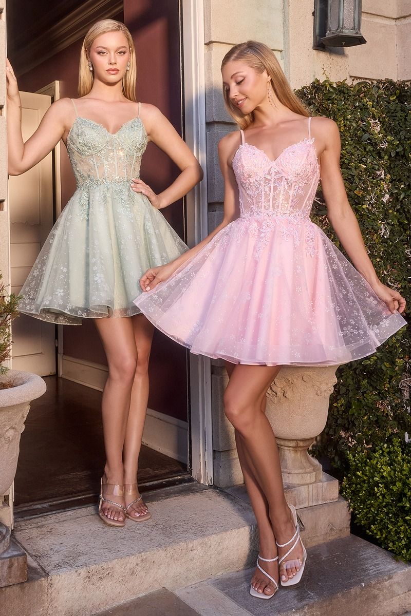 Ladivine CJ419 - Embroidered A-Line Mini Dress