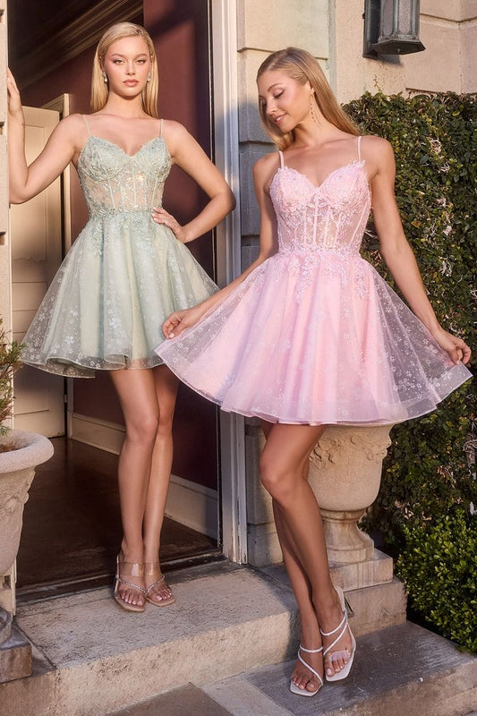 Ladivine CJ419 - Embroidered A-Line Mini Dress