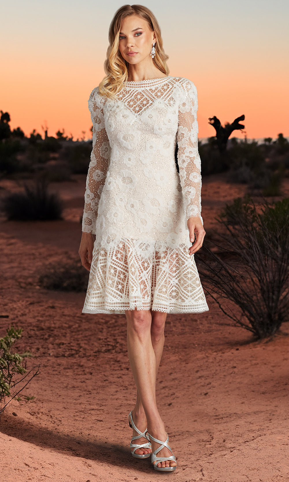 Tadashi Shoji CFE25400M - Bateau Neck Idly Embroidered Illusion Dress