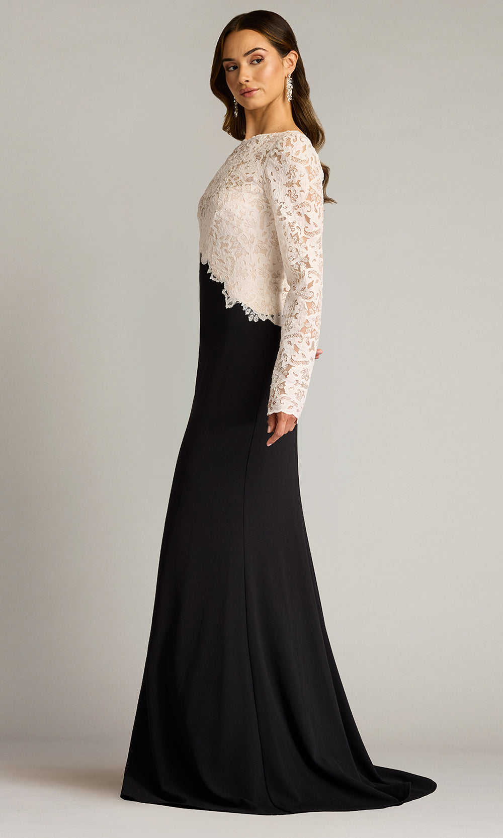Tadashi Shoji CHK25159L - Long Sleeve Lafayette Embroidered Bodice Gown