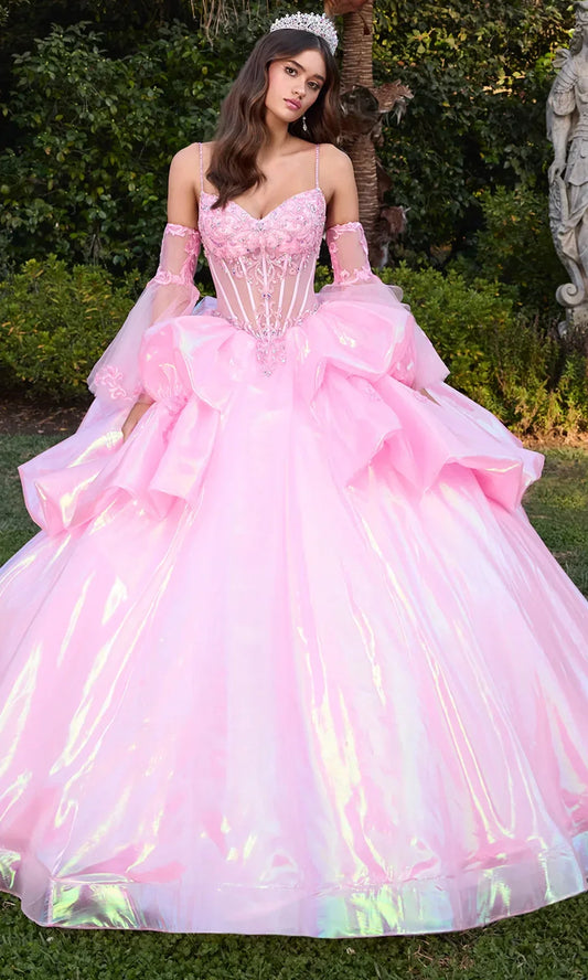 Ashley Lauren 30115 - Spaghetti Strap Beaded Applique Ballgown