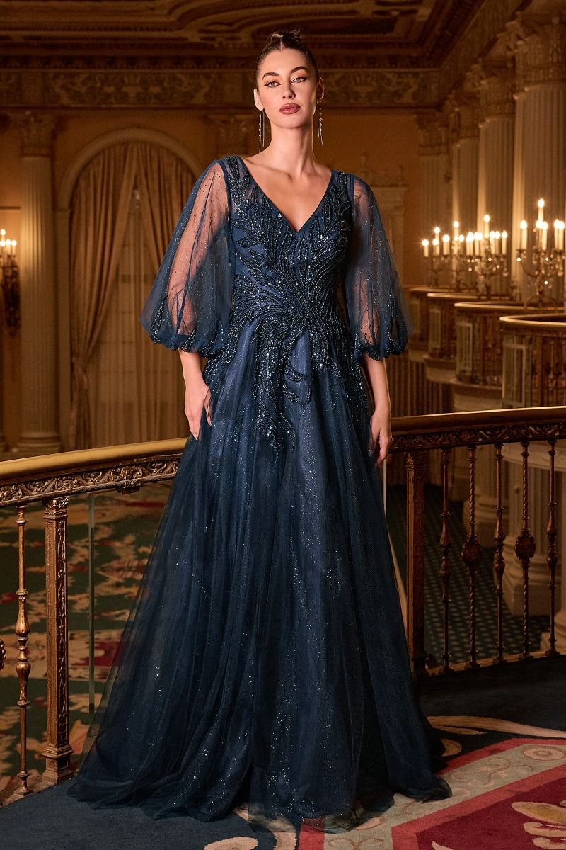 Ladivine CD0101 - V-Neck Sheer Sleeve Evening Gown