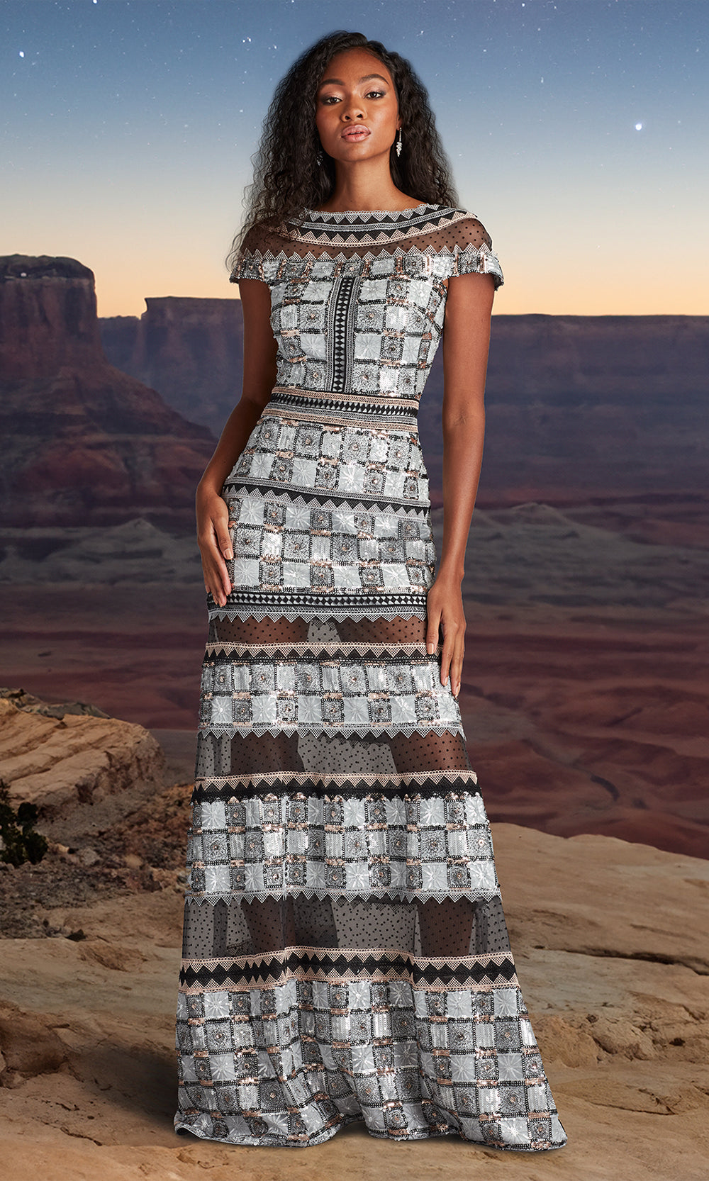 Tadashi Shoji CHH25334L - Bateau Jovie Sequin Embroidered Illusion Gown